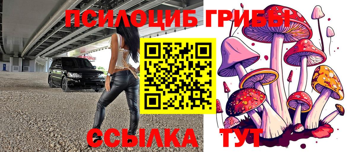 Тулун  Псилоцибиновые грибы Psilocybe  Вход с VPN 